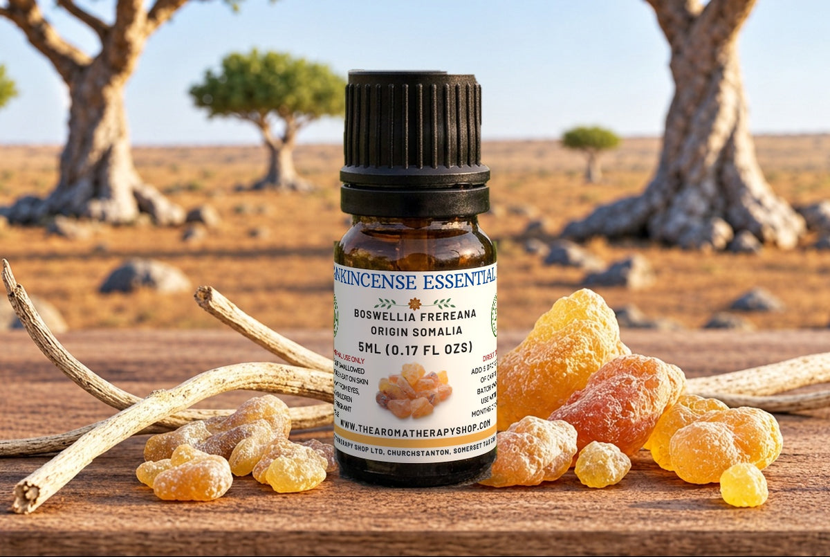 Frankincense Frereana Essential Oil (Origin: Somalia)
