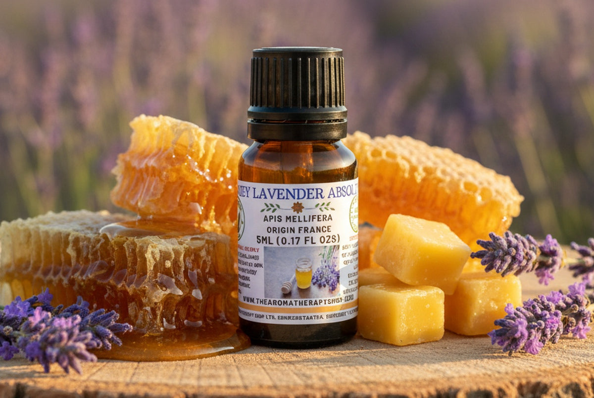 French Honey Lavender Absolute — Apis mellifera | Provençal Honey & Lavender | H Reynaud Fils