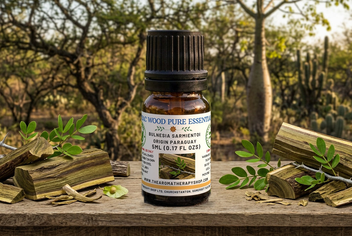 Guaiac Wood Essential Oil / Origin Paraguay
