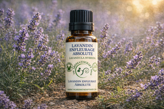 Lavandin Enfleurage - Lavandula Hybrida Extract Absolute