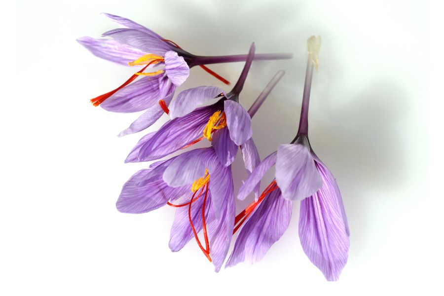 Saffron Absolute Oil @ 5%  / Origin: India