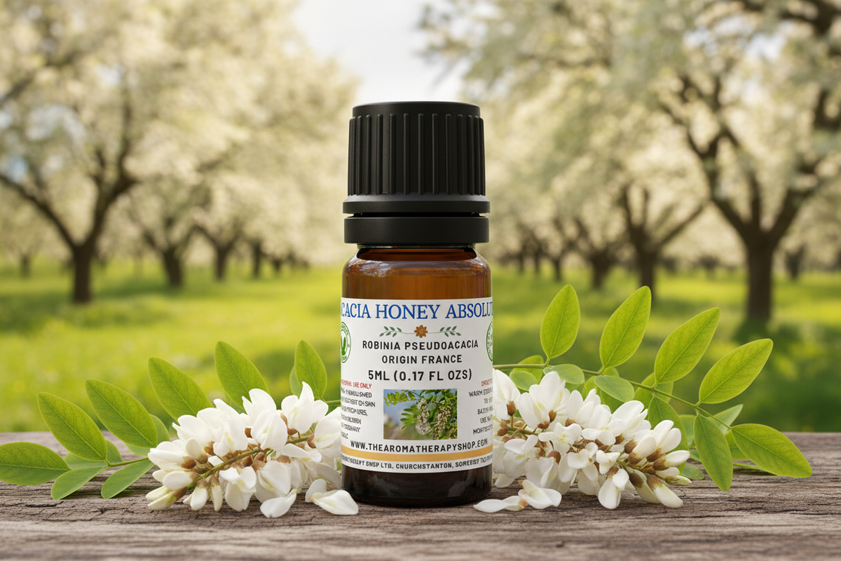 Acacia Honey Absolute 5ml Outdoor Showcase