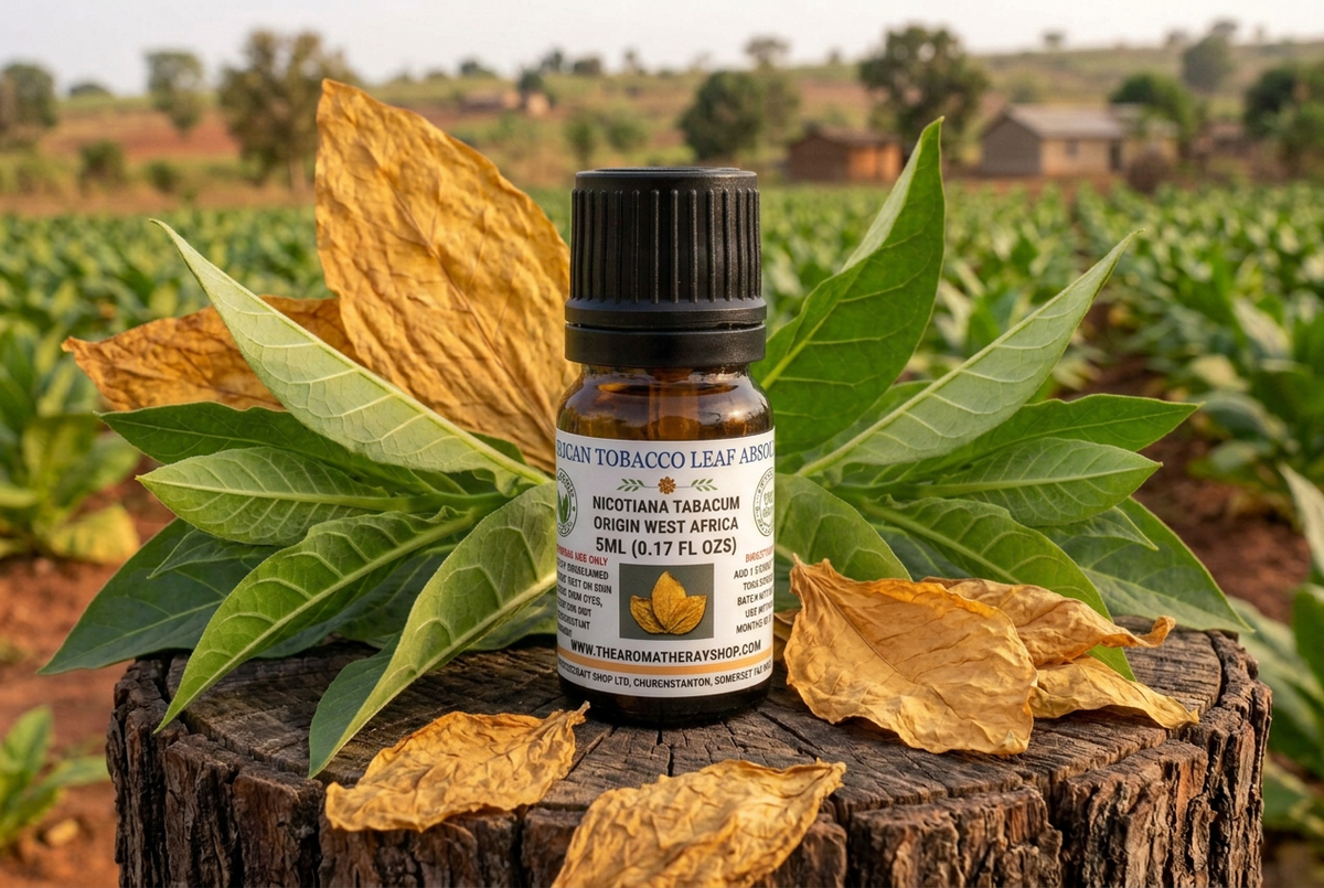 African Tobacco showcase revised to match the preceding Orris image’s framing and bottle placement