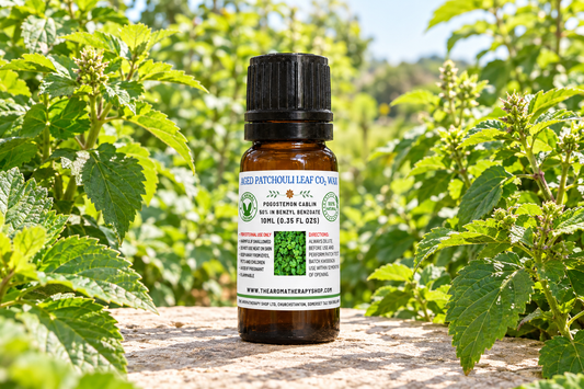 Aged Patchouli Leaf CO₂ Wax 10ml showcase