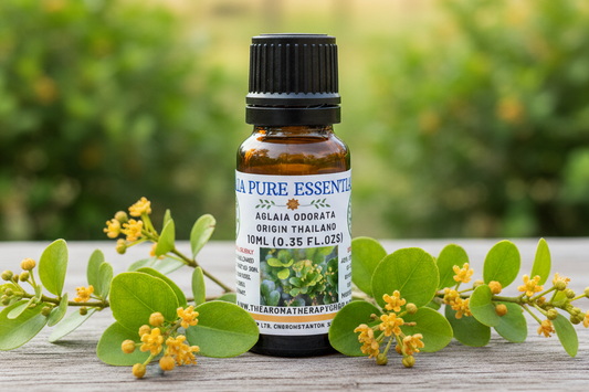 Aglaia Pure Essential Oil 10ml - Natural Outdoor Showcase