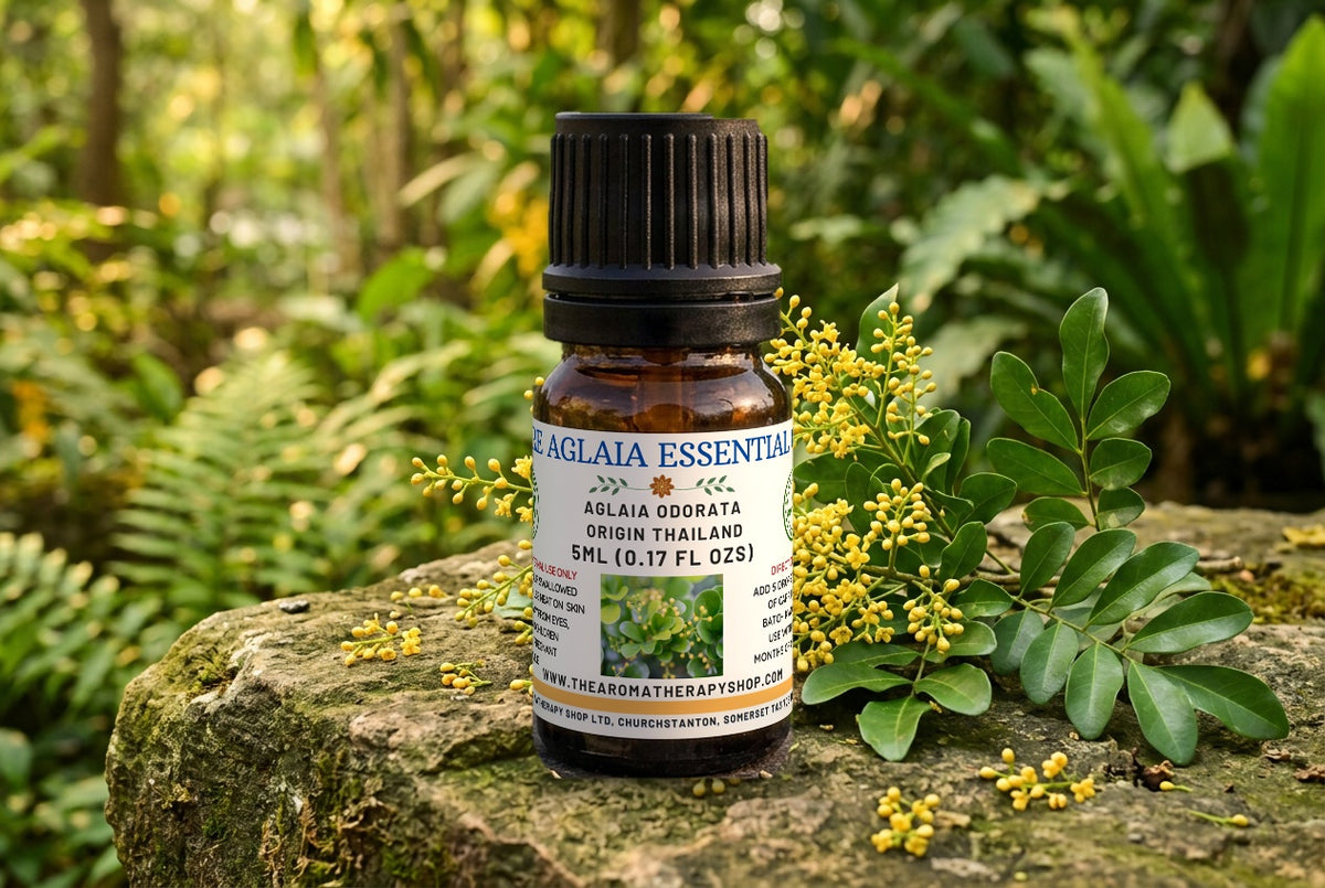 Aglaia Pure Essential Oil / Origin Thailand