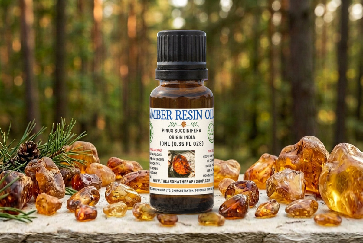Amber Resin Oil / Woody, Smoky and Leathery