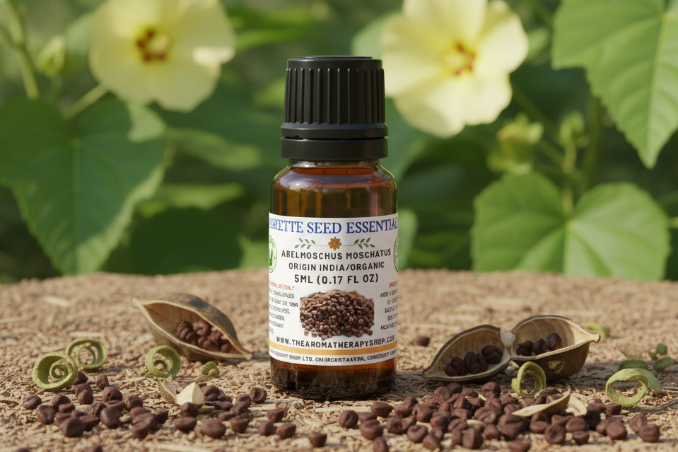 Ambrette Seed 5ml Essential Oil Showcase
