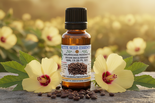 Ambrette Seed Essential Oil – Outdoor Showcase