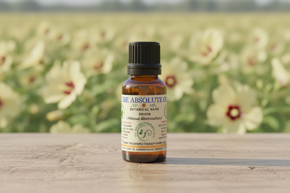 Ambrette Ambrette Seed Absolute | Natural Botanical Musk | Peru – The ...