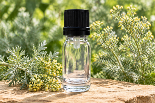 Artemisia pallens showcase with the approved clear 5 cm bottle on natural buff sandstone