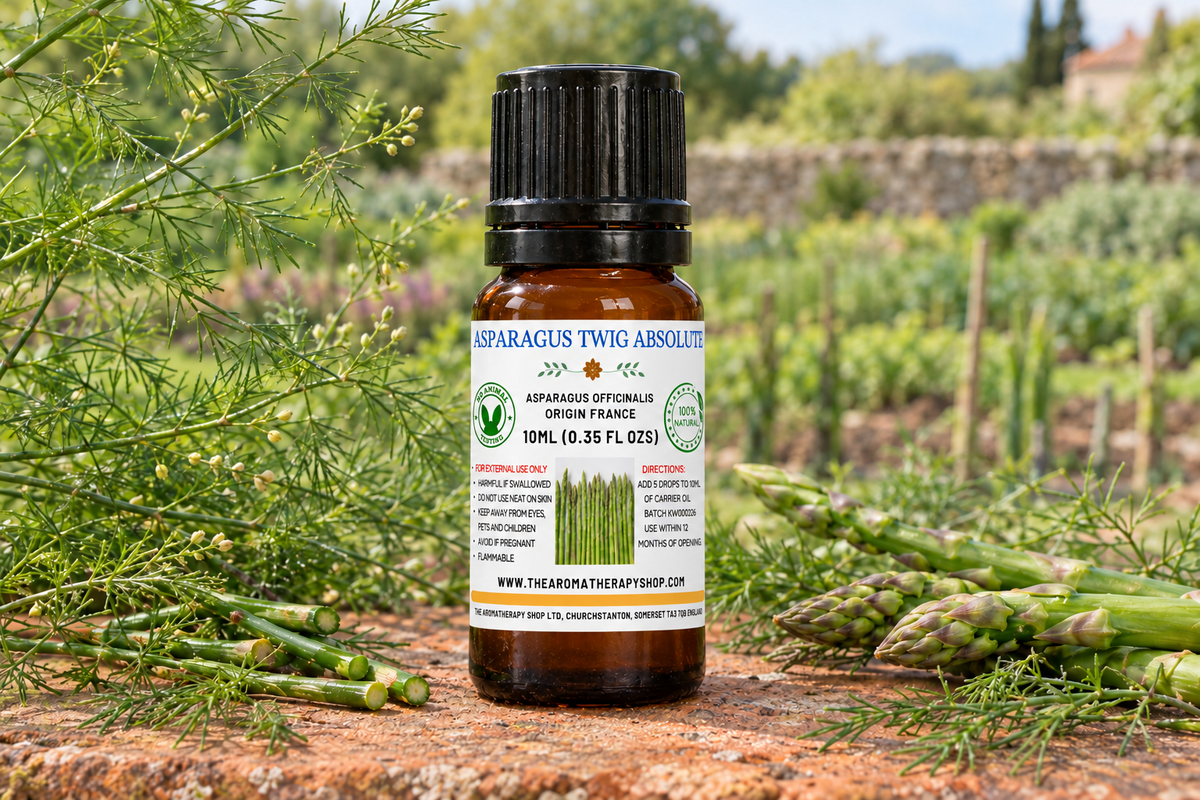 Asparagus showcase revised using the approved Davana bottle shape and taller label proportions