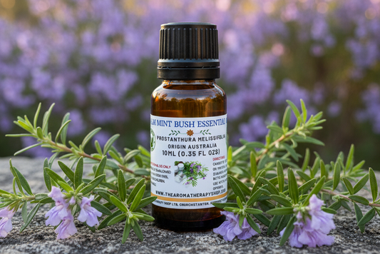 Balm Mint Bush Essential Oil 10ml Outdoor Showcase