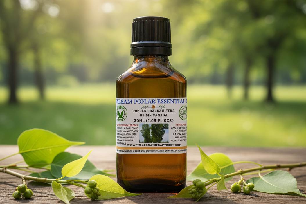 Balsam Poplar 30ml Outdoor Showcase with Label