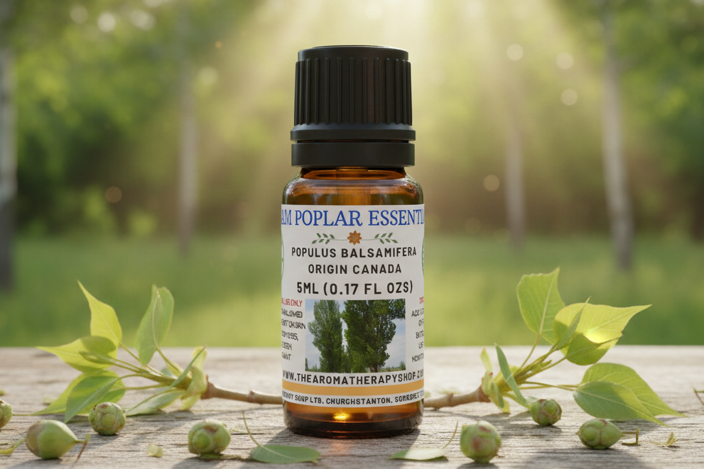 Balsam Poplar 5ml Outdoor Showcase
