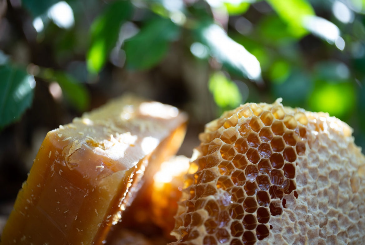 Beeswax Absolute Oil / Distinctive Aroma