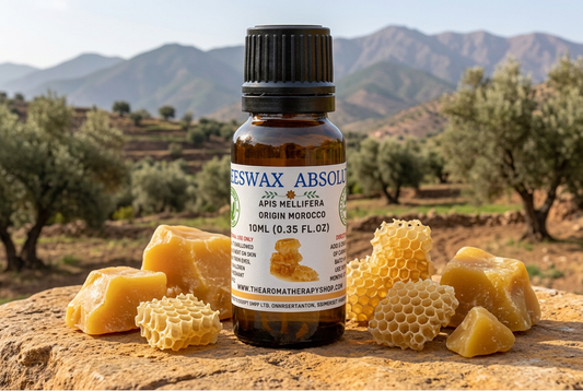 Beeswax Absolute showcase with a Moroccan background and new natural surface, without bees