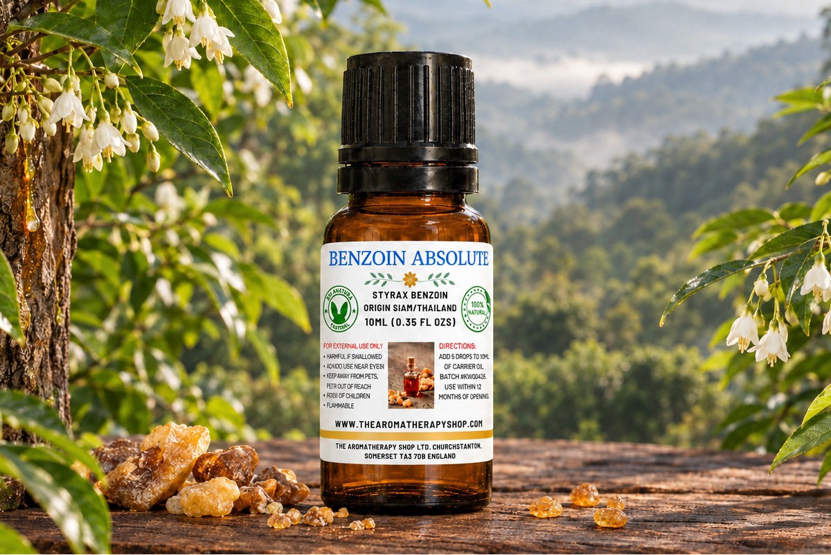 Benzoin Absolute 10ml with additional resin