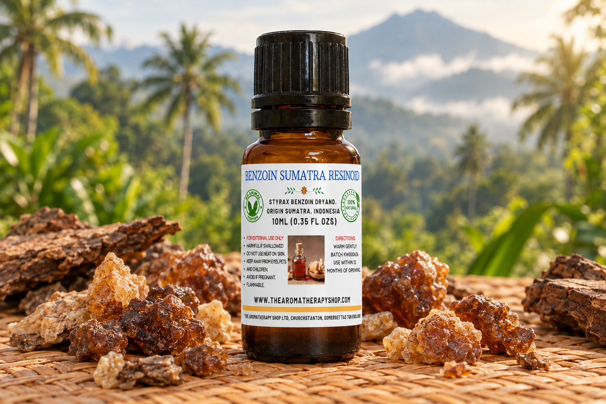 Benzoin Sumatra Resinoid 10ml showcase, taller label