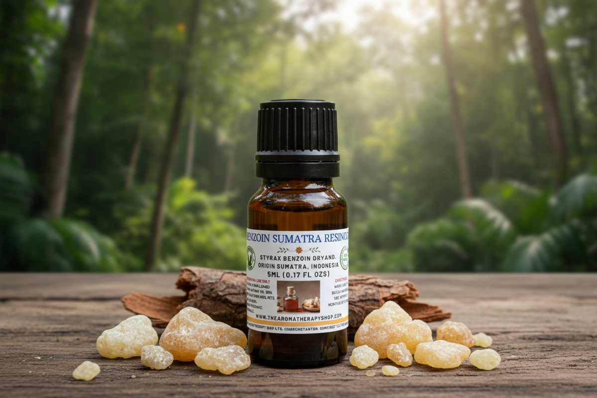 Benzoin Sumatra Resinoid 5ml Outdoor Showcase