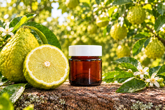 Bergamot showcase with the jar centred