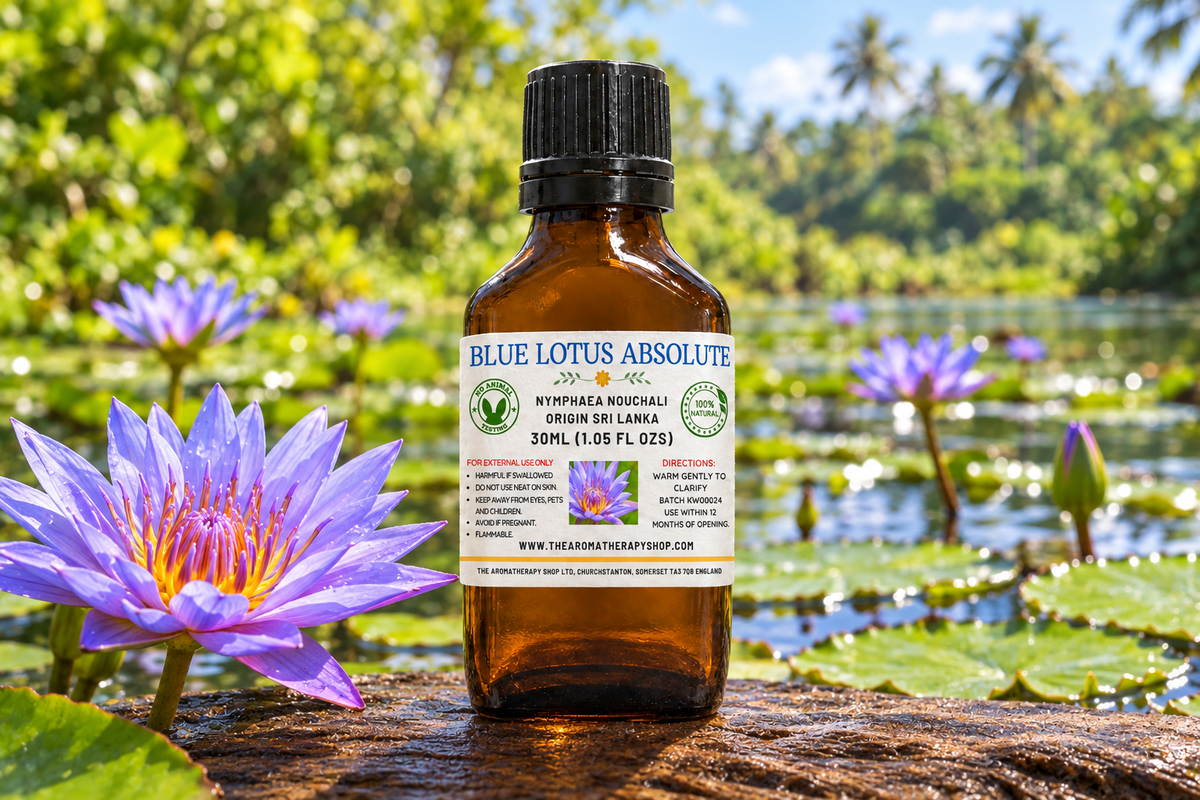 Blue Lotus Absolute showcase with your label, Nymphaea nouchali and a Sri Lankan pond background on natural tropical wood