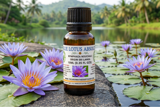 Blue Lotus showcase with a subtle brightness increase