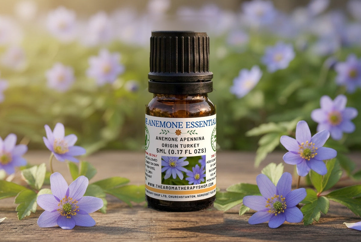 Blue Anemone Essential Oil / Origin Turkey
