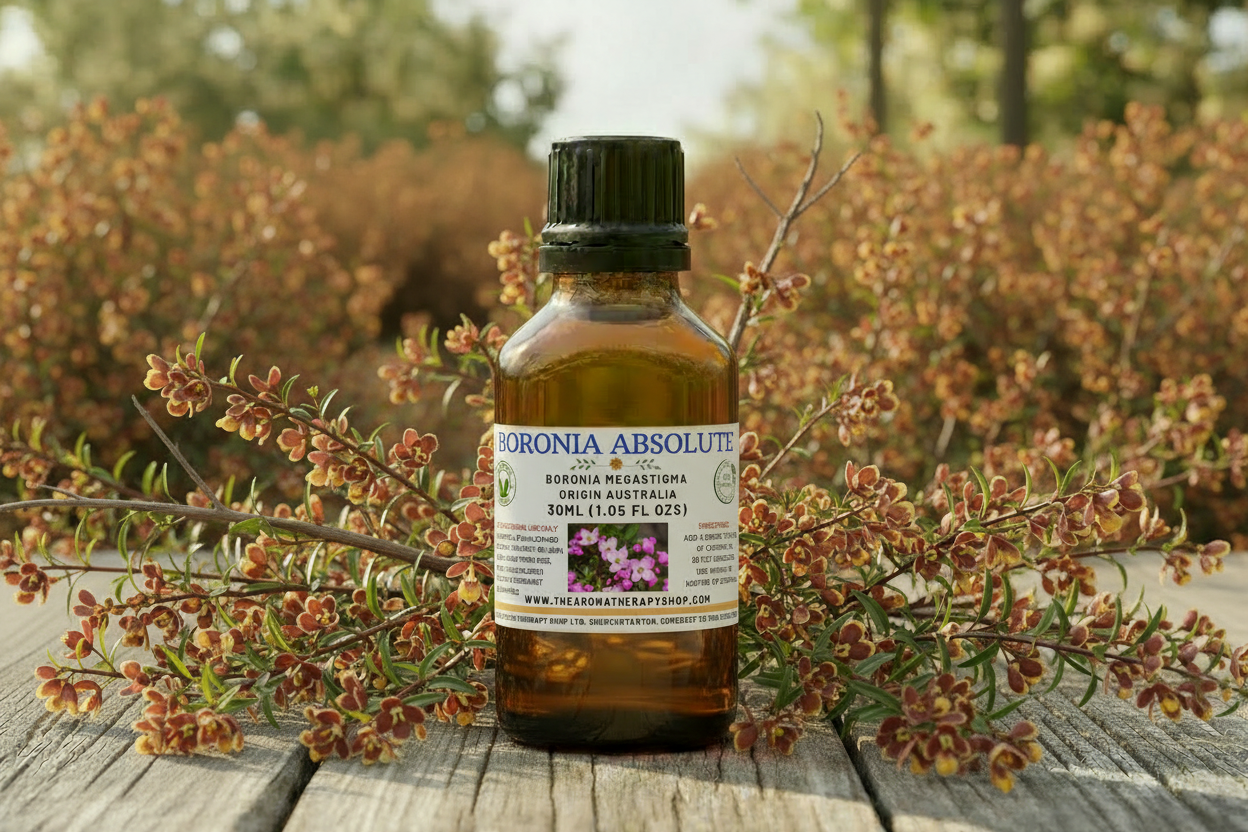 Boronia Absolute 30ml