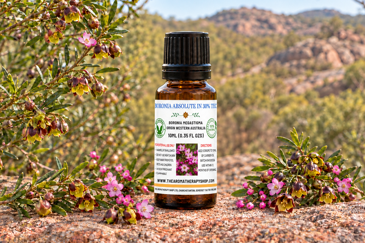 Boronia showcase revised to target the 6.5cm overall bottle height, including the cap