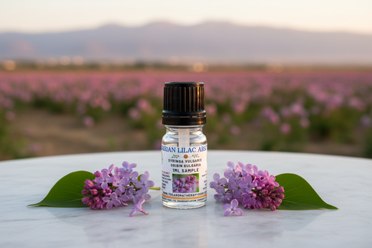 Bulgarian Lilac Absolute 1ml Sample Outdoor Showcase