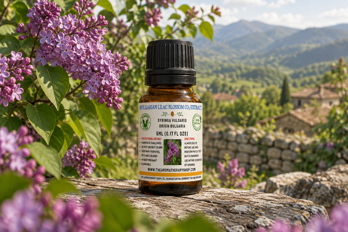 Bulgarian Lilac Blossom CO₂ Extract 5ml outdoor showcase