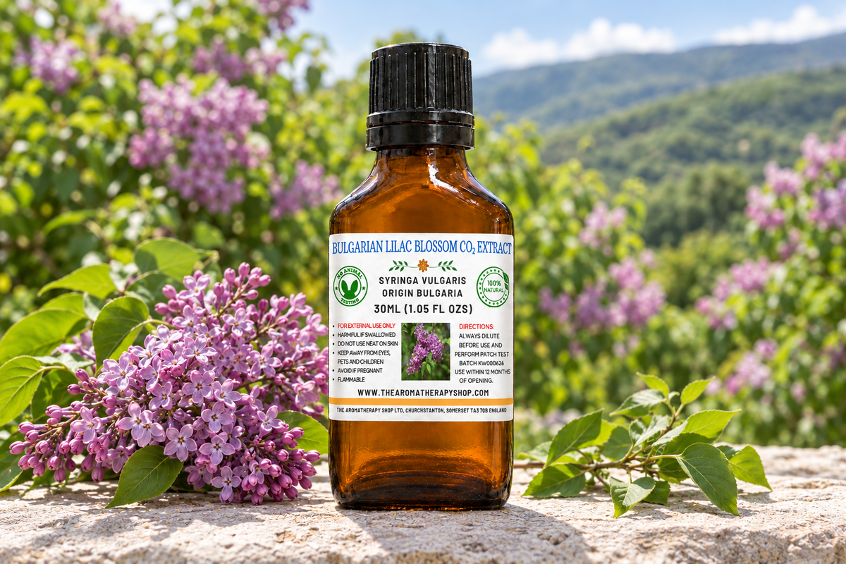 Bulgarian Lilac Blossom showcase with your label, full-sized lilac sprigs on natural limestone and a Bulgarian garden background