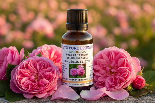 Bulgarian Rose Otto Pure Essential Oil 10ml Outdoor Showcase