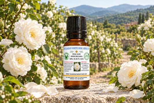 Bulgarian White Rose Absolute 10ml showcase