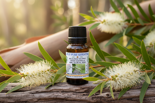 Cajeput Pure Essential Oil Outdoor Product Photography