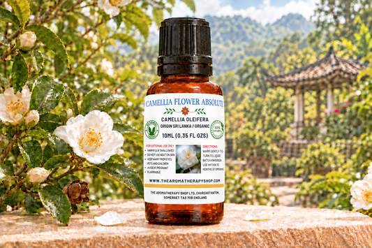 Camellia label with tighter floral-motif spacing
