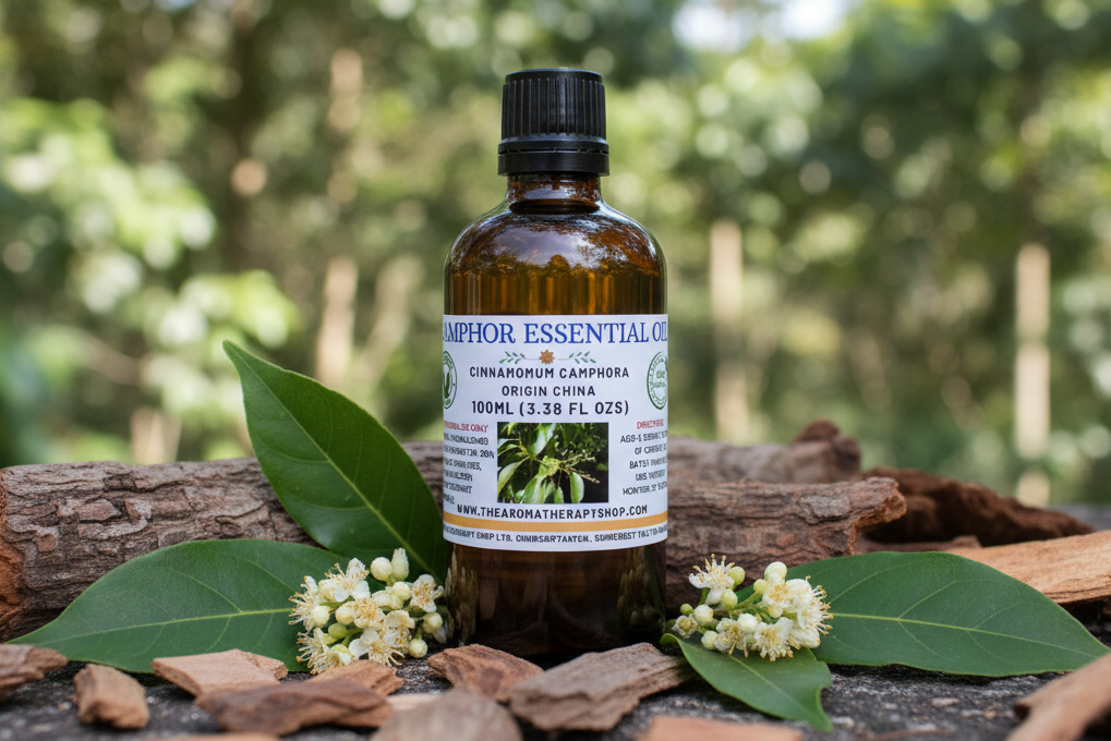 Camphor 100ml Essential Oil - Corrected