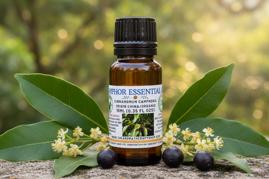 Camphor Essential Oil 10ml Outdoor Showcase