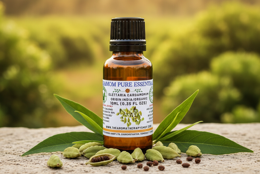 Cardamom Pure Essential Oil 10ml Outdoor Showcase