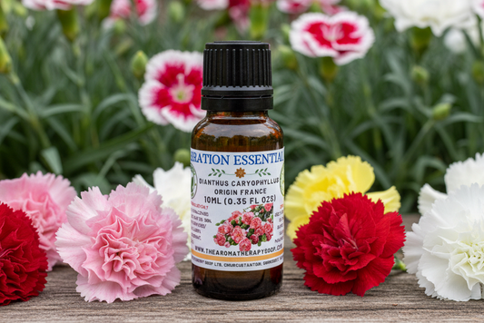 Carnation Essential Oil matching first Cananga composition