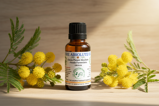 Cassie Flower Absolute - Acacia Farnesiana