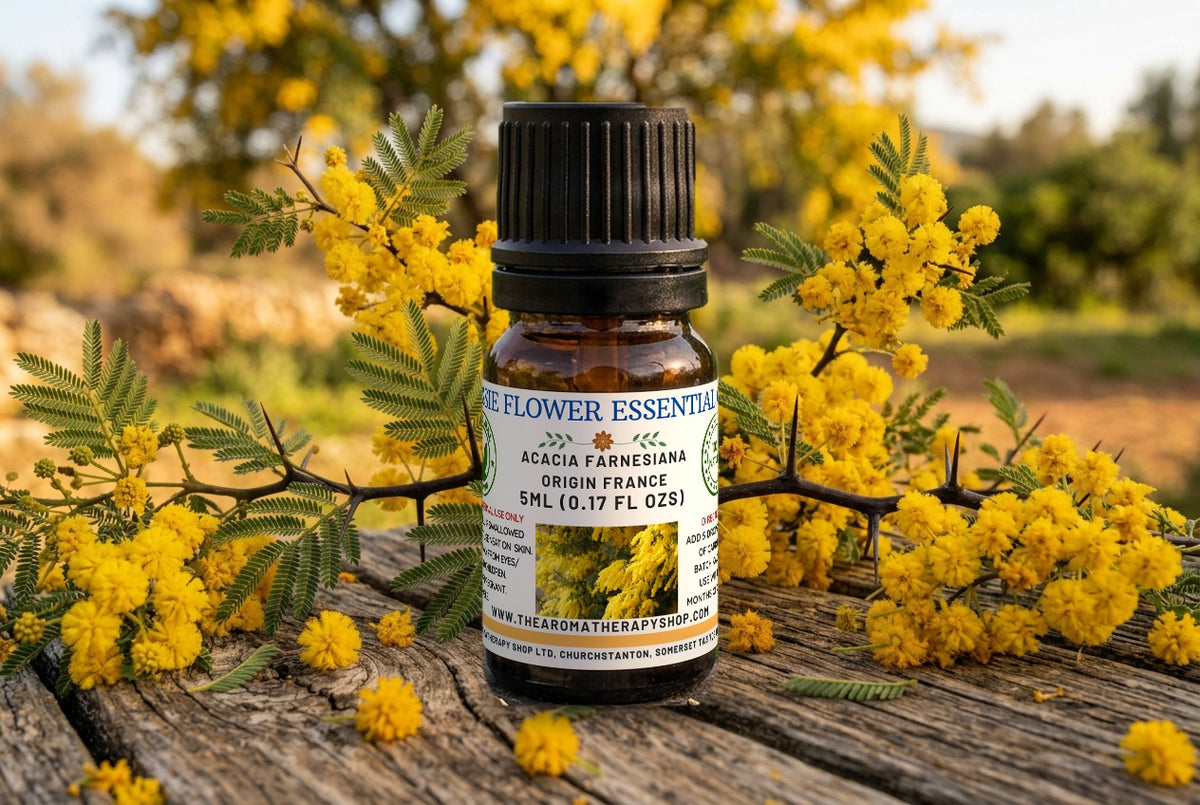 Cassie Flower Essential Oil (Sweet Acacia)