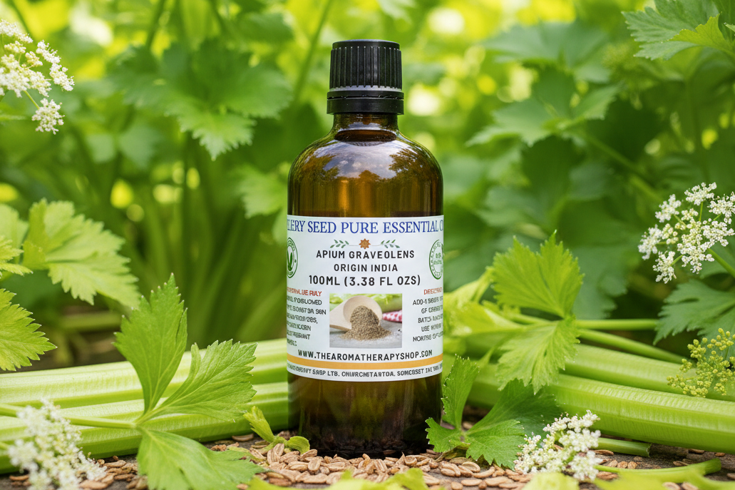 Celery Seed 100ml Essential Oil - Corrected Label