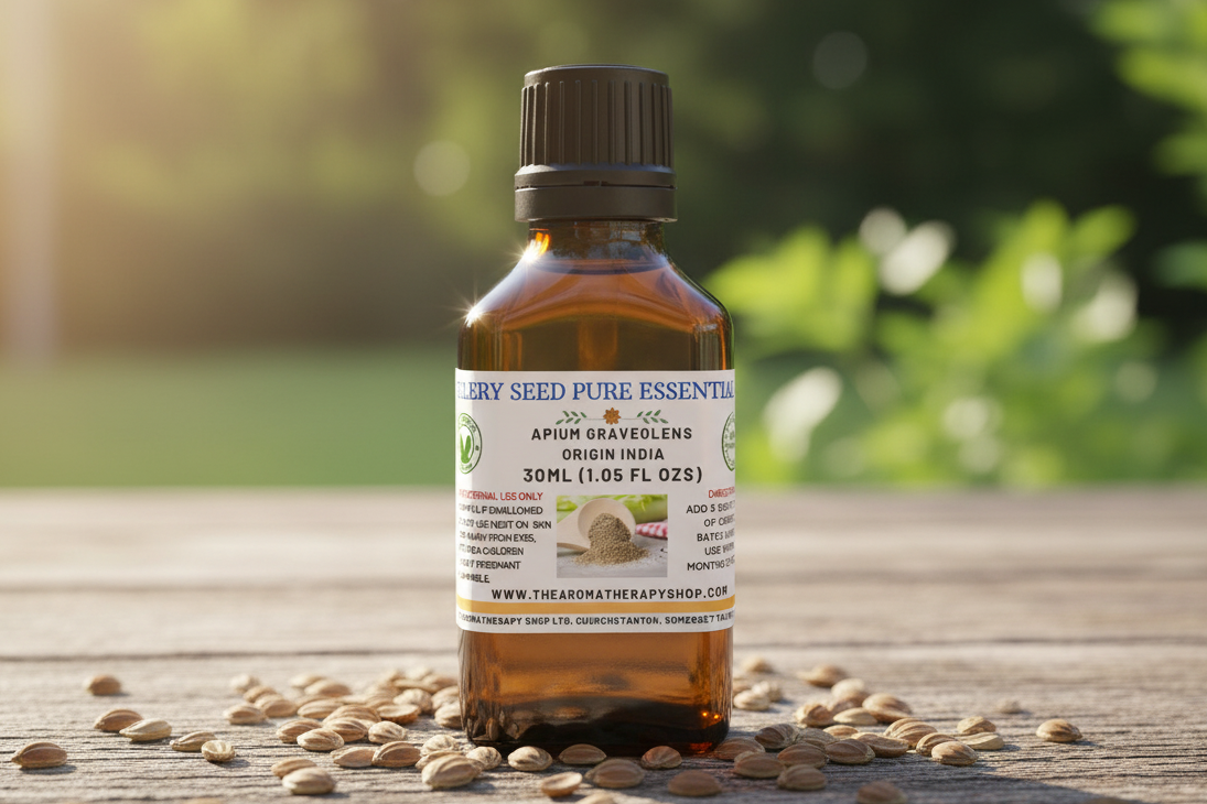 Celery Seed 30ml Essential Oil
