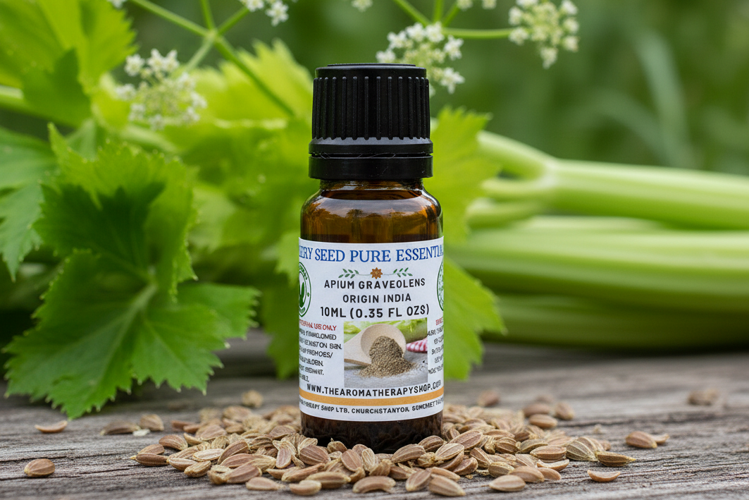 Celery Seed Pure Essential Oil with corrected label