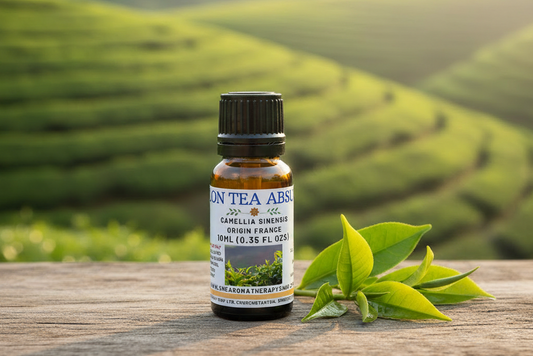 Ceylon Tea Absolute 10ml - Prominent