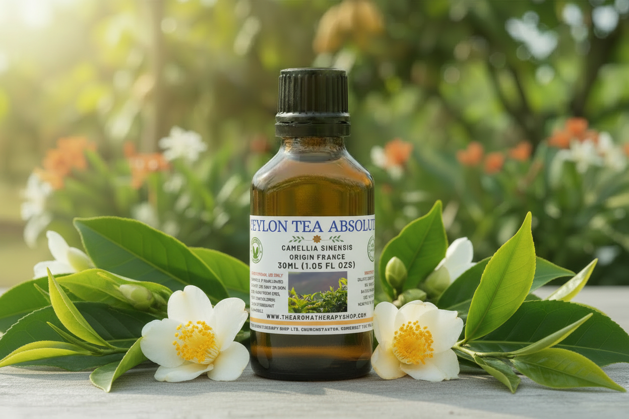 Ceylon Tea Absolute 30ml