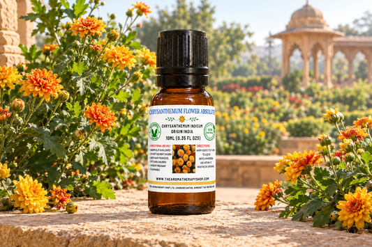 Chrysanthemum Flower Absolute 10ml showcase