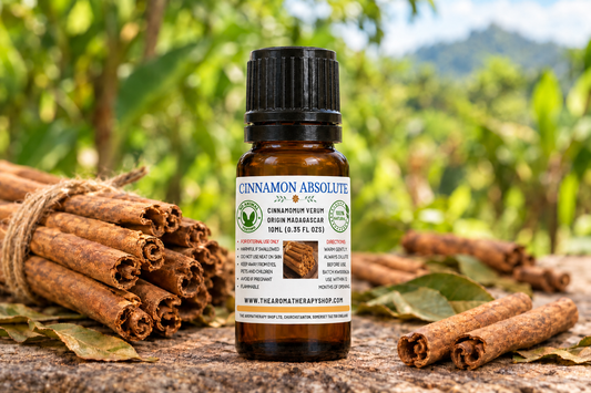 Cinnamon Absolute 10ml showcase with slightly shorter bottle